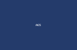 Apex Guarding Solutions