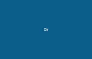 CyberShield Asia